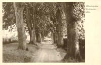 /album/strassen-und-platze/klosterberg-6-kastanienallee-1944-web-jpg/